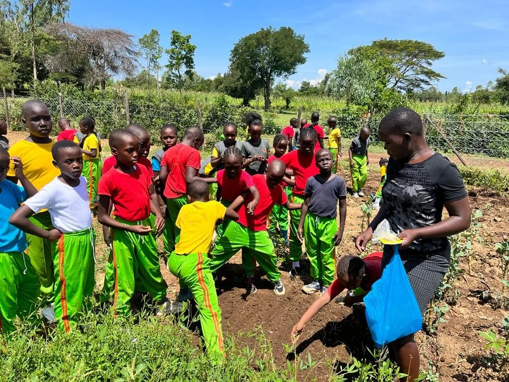 Learners taking part in an outdoor team activity